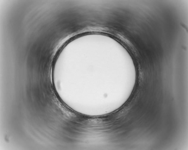 X0000101471272200808041056