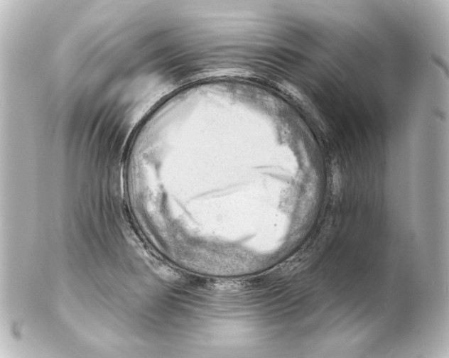 X0000101471274200808041056