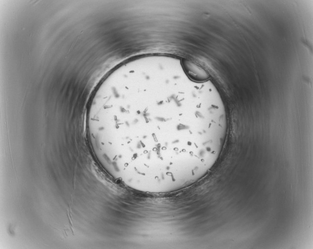 X0000101471276200808041056