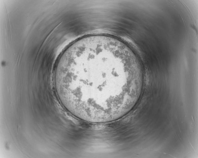 X0000101471278200808041056