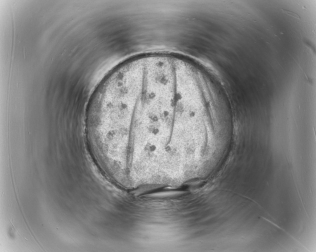 X0000101471279200808041056