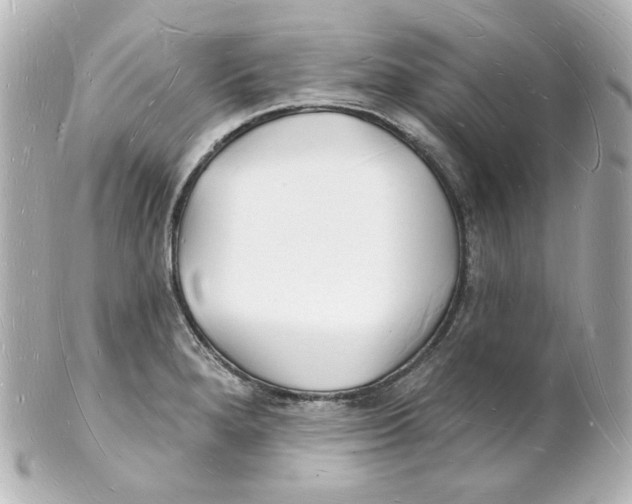 X0000101471280200808041056