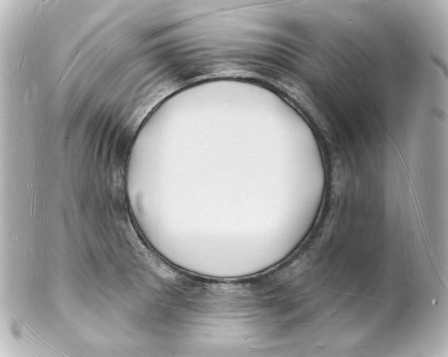 X0000101471281200808041056