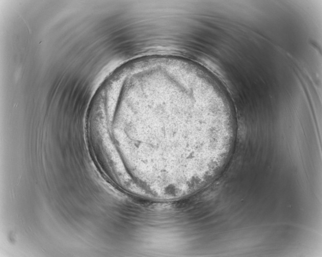 X0000101471283200808041056