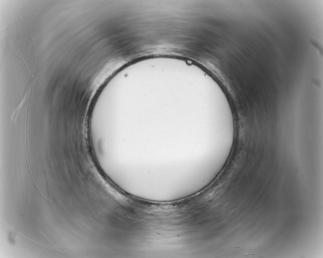 X0000101471285200808041056