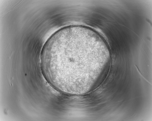 X0000101471287200808041056