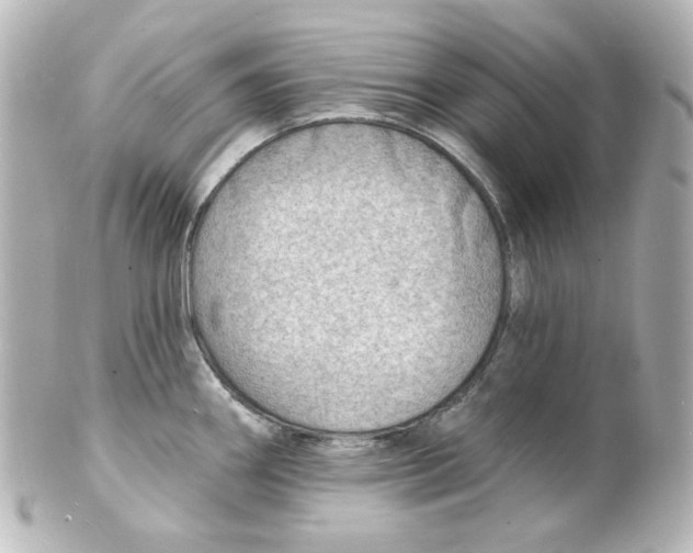 X0000101471290200808041056