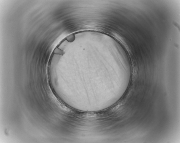 X0000101471291200808041056