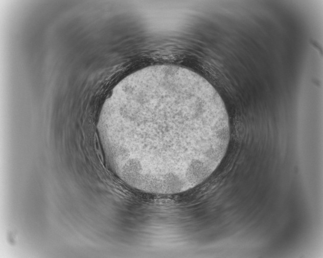 X0000101471297200808041055