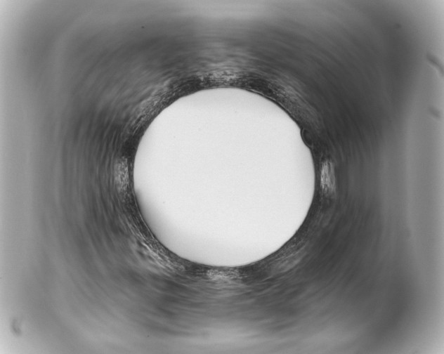 X0000101471299200808041055