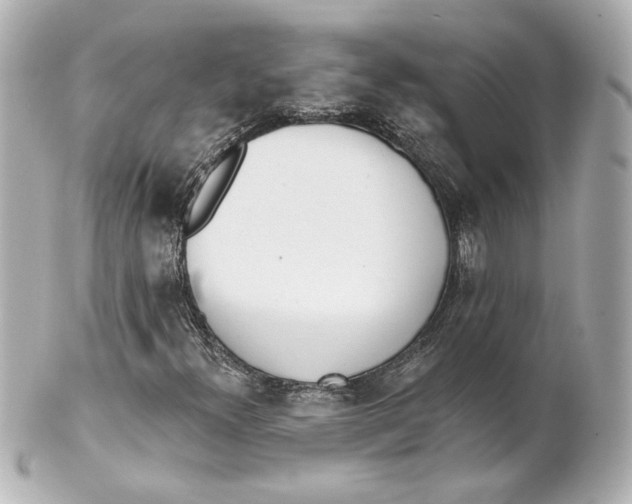 X0000101471300200808041055