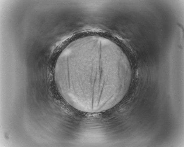 X0000101471303200808041055