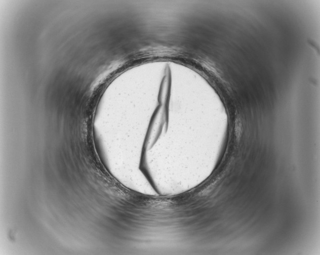 X0000101471309200808041056