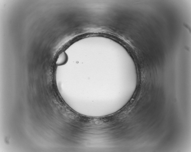 X0000101471311200808041056