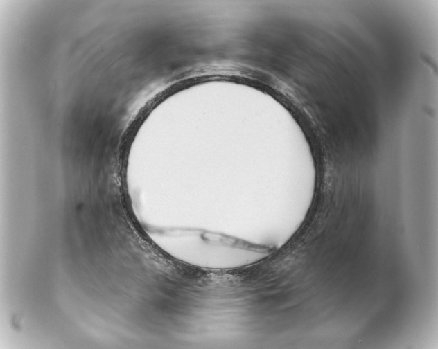 X0000101471312200808041056