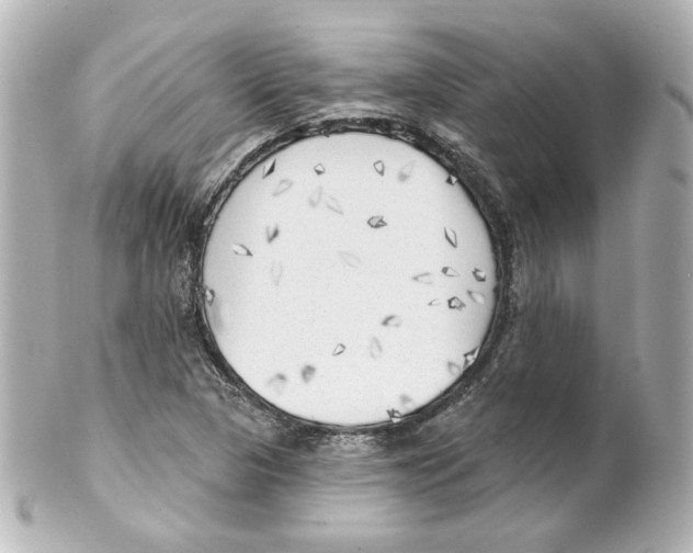 X0000101471313200808041056