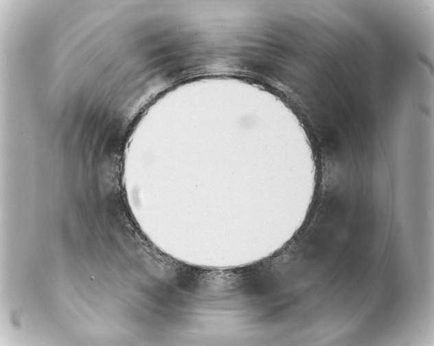 X0000101471314200808041056