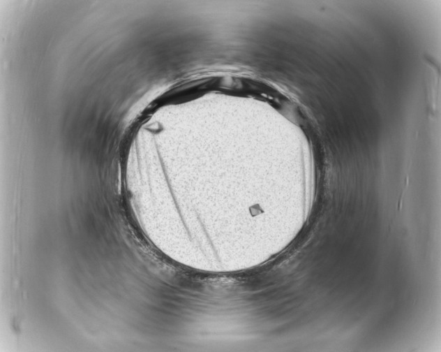 X0000101471317200808041056