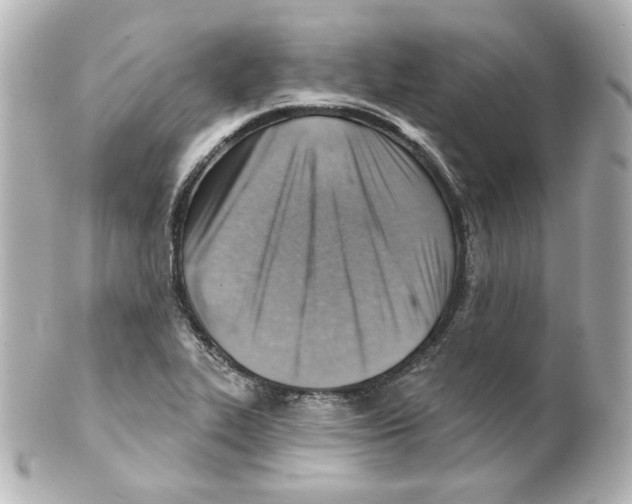 X0000101471319200808041056