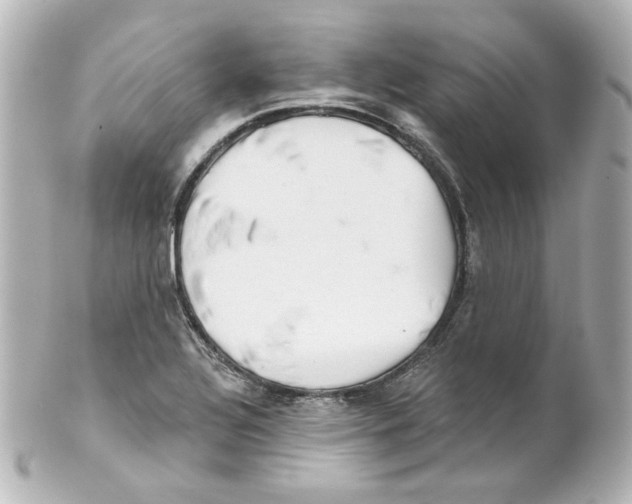 X0000101471320200808041056