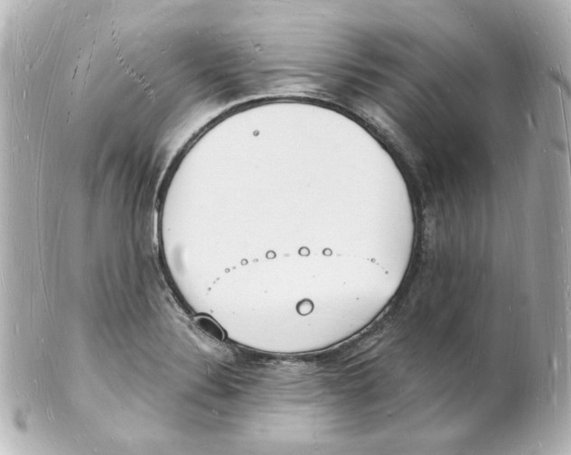 X0000101471324200808041056