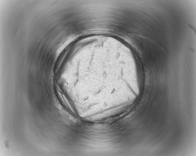 X0000101471325200808041056