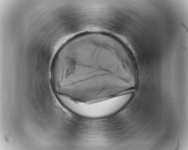 X0000101471327200808041056