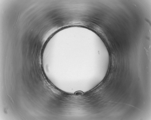 X0000101471328200808041056