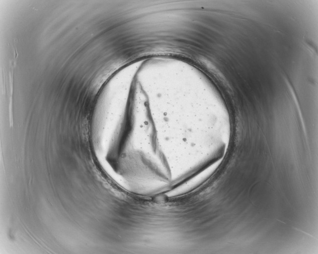 X0000101471329200808041056