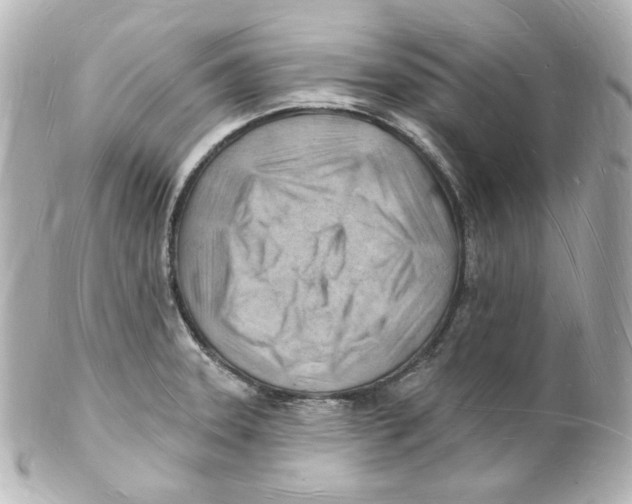 X0000101471331200808041056