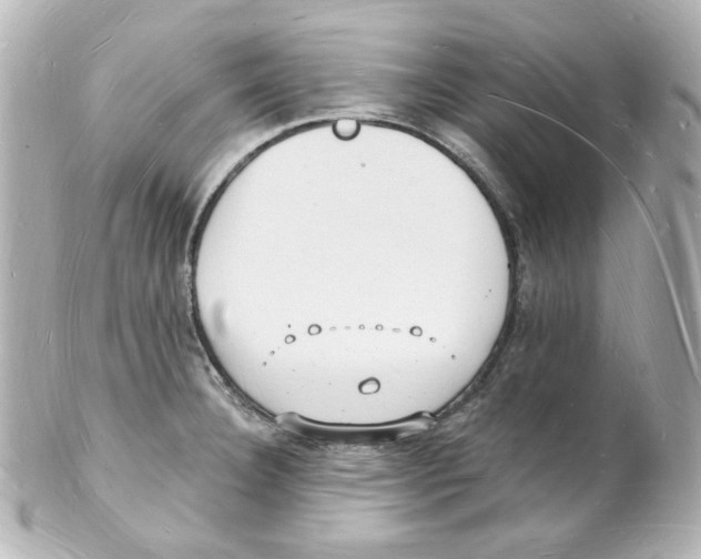 X0000101471332200808041056