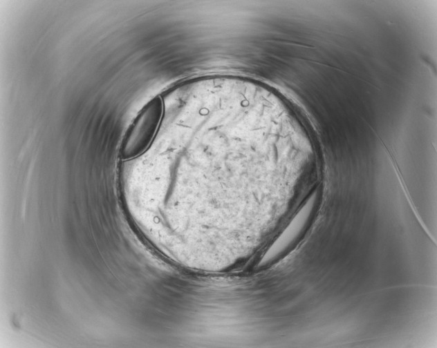 X0000101471333200808041056