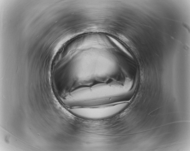 X0000101471334200808041056