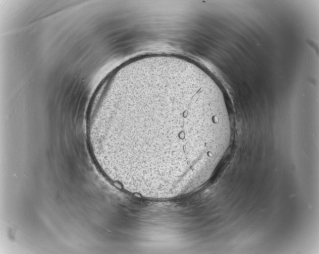 X0000101471335200808041056