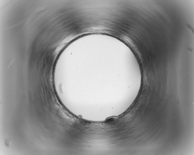 X0000101471336200808041056