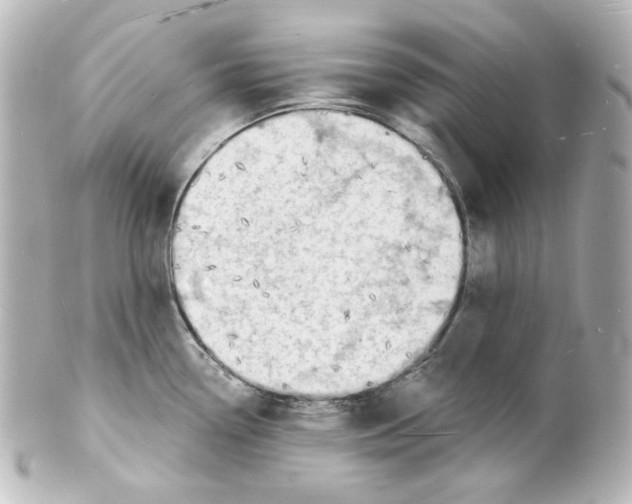 X0000101471338200808041056