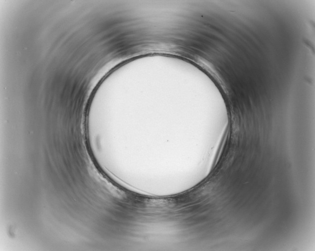 X0000101471339200808041056