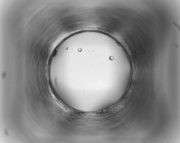 X0000101471342200808041056