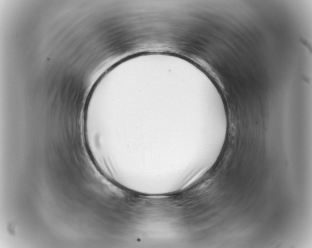 X0000101471343200808041056