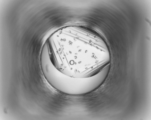 X0000101471344200808041056