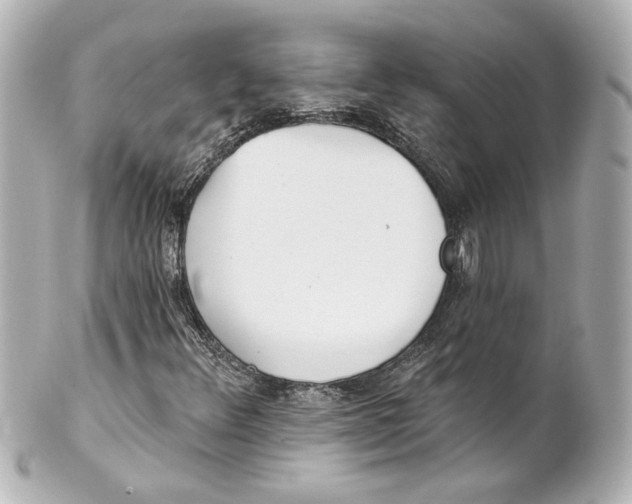 X0000101471348200808041055