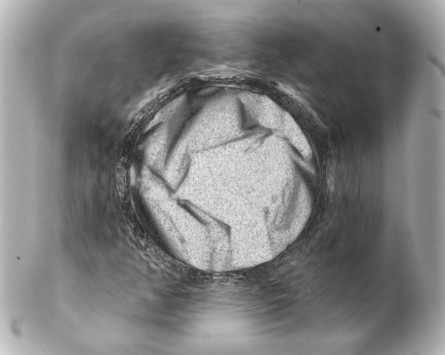 X0000101471350200808041055