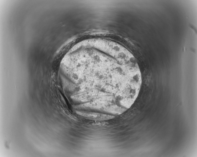 X0000101471351200808041055