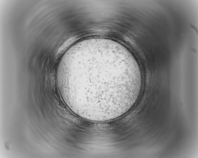 X0000101471354200808041055