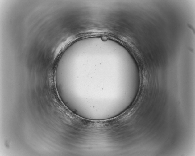 X0000101471357200808041055