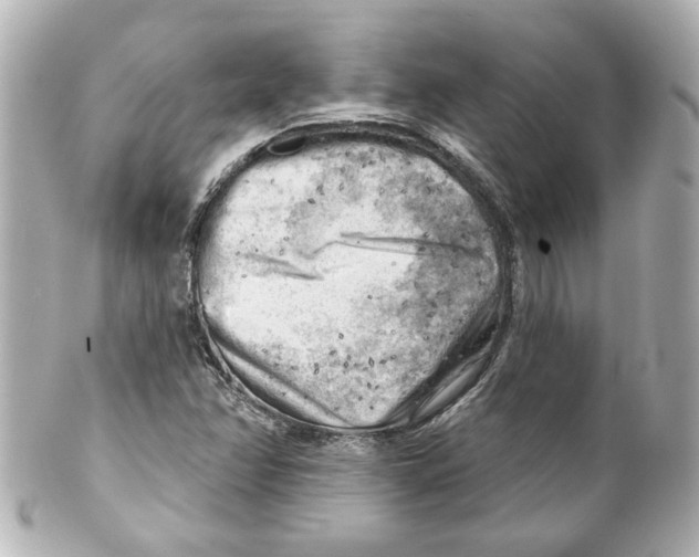 X0000101471358200808041055