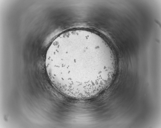 X0000101471359200808041055