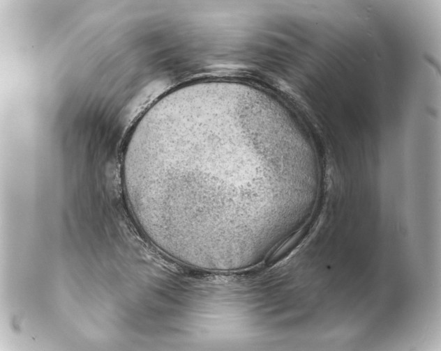 X0000101471362200808041055