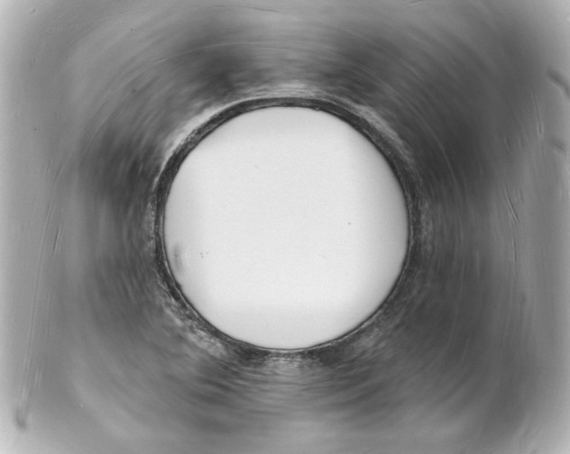 X0000101471364200808041055