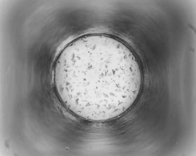 X0000101471366200808041055